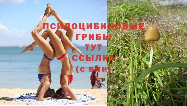 гашишное масло Сатка