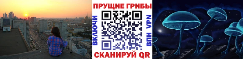 Псилоцибиновые грибы MAGIC MUSHROOMS Магадан